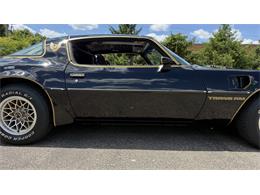 1979 Pontiac Firebird Trans Am SE (CC-2072538) for sale in Milford, Ohio