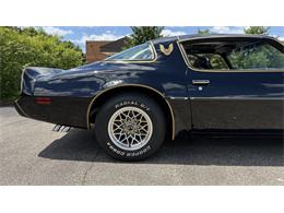1979 Pontiac Firebird Trans Am SE (CC-2072538) for sale in Milford, Ohio