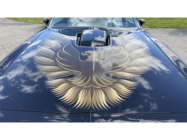 1979 Pontiac Firebird Trans Am SE (CC-2072538) for sale in Milford, Ohio