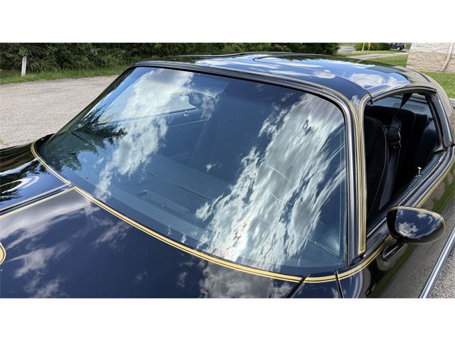 1979 Pontiac Firebird Trans Am SE (CC-2072538) for sale in Milford, Ohio