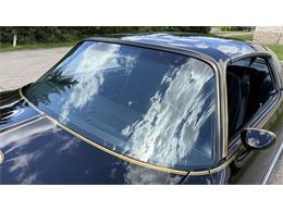 1979 Pontiac Firebird Trans Am SE (CC-2072538) for sale in Milford, Ohio
