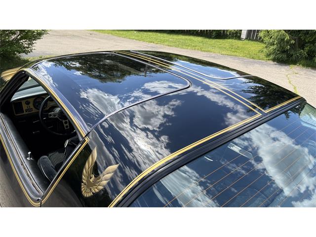 1979 Pontiac Firebird Trans Am SE (CC-2072538) for sale in Milford, Ohio