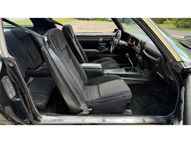 1979 Pontiac Firebird Trans Am SE (CC-2072538) for sale in Milford, Ohio