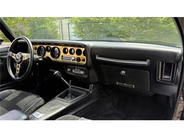 1979 Pontiac Firebird Trans Am SE (CC-2072538) for sale in Milford, Ohio
