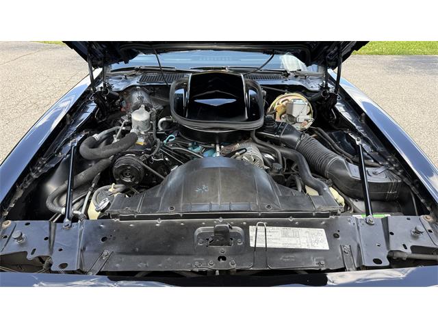 1979 Pontiac Firebird Trans Am SE (CC-2072538) for sale in Milford, Ohio