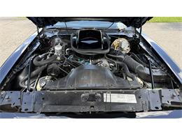 1979 Pontiac Firebird Trans Am SE (CC-2072538) for sale in Milford, Ohio