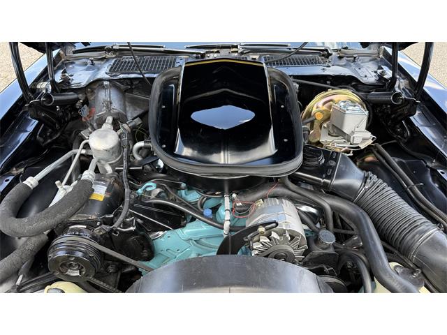 1979 Pontiac Firebird Trans Am SE (CC-2072538) for sale in Milford, Ohio