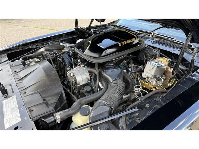 1979 Pontiac Firebird Trans Am SE (CC-2072538) for sale in Milford, Ohio