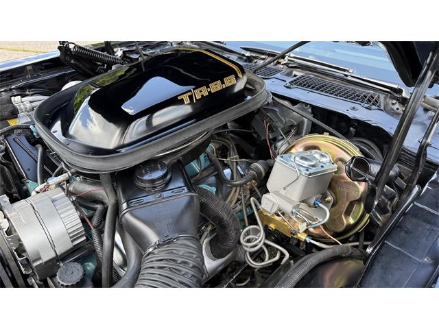 1979 Pontiac Firebird Trans Am SE (CC-2072538) for sale in Milford, Ohio