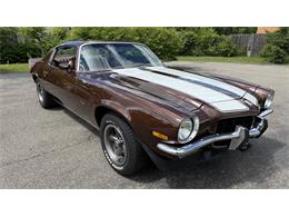 1973 Chevrolet Camaro Z28 (CC-2072541) for sale in Milford, Ohio