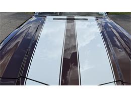 1973 Chevrolet Camaro Z28 (CC-2072541) for sale in Milford, Ohio