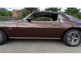 1973 Chevrolet Camaro Z28 (CC-2072541) for sale in Milford, Ohio