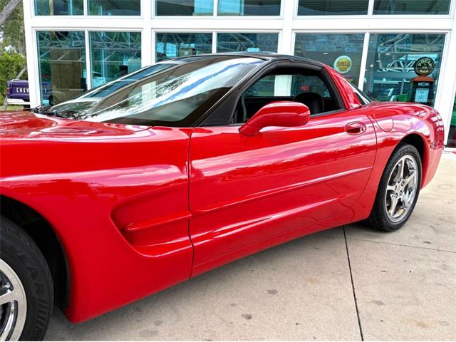 1998 Chevrolet Corvette (CC-2072597) for sale in Bradenton, Florida