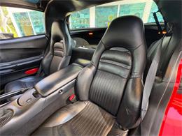 1998 Chevrolet Corvette (CC-2072597) for sale in Bradenton, Florida