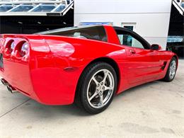 1998 Chevrolet Corvette (CC-2072597) for sale in Bradenton, Florida