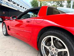 1998 Chevrolet Corvette (CC-2072597) for sale in Bradenton, Florida