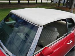 1972 Oldsmobile Cutlass Supreme (CC-2072610) for sale in Palmetto, Florida
