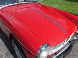 1963 MG Midget (CC-2072611) for sale in Palmetto, Florida