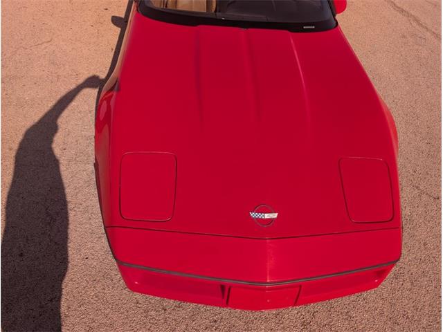 1990 Chevrolet Corvette (CC-2072615) for sale in Palmetto, Florida