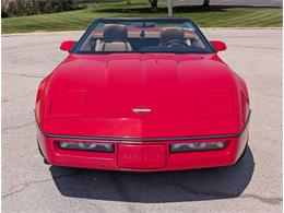 1990 Chevrolet Corvette (CC-2072615) for sale in Palmetto, Florida