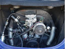 1972 Volkswagen Beetle (CC-2072618) for sale in Palmetto, Florida