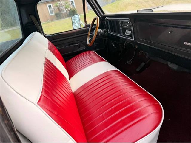 1976 Ford F100 (CC-2072620) for sale in Cadillac, Michigan