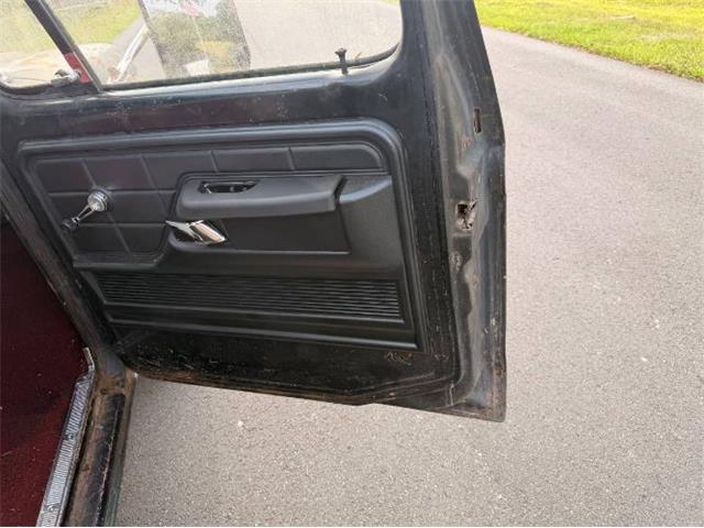 1976 Ford F100 (CC-2072620) for sale in Cadillac, Michigan