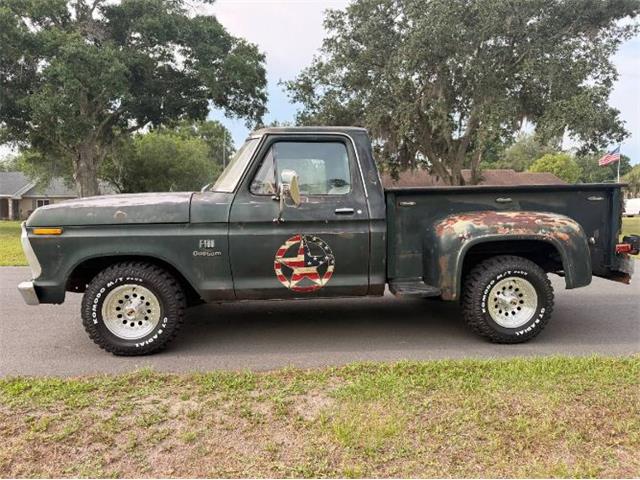 1976 Ford F100 (CC-2072620) for sale in Cadillac, Michigan