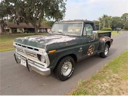 1976 Ford F100 (CC-2072620) for sale in Cadillac, Michigan