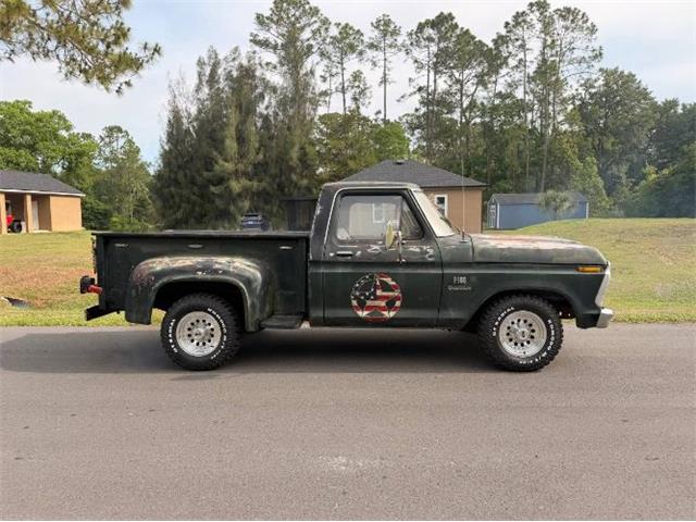 1976 Ford F100 (CC-2072620) for sale in Cadillac, Michigan