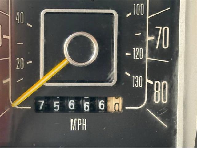 1978 Ford F100 (CC-2072625) for sale in Cadillac, Michigan