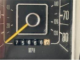 1978 Ford F100 (CC-2072625) for sale in Cadillac, Michigan