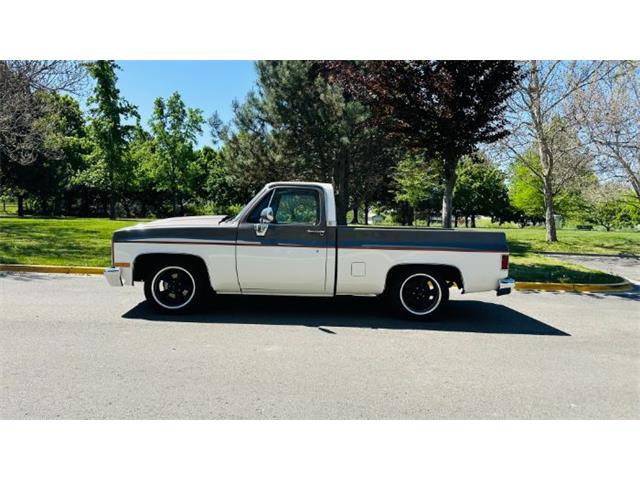 1985 Chevrolet C10 (CC-2072662) for sale in Cadillac, Michigan