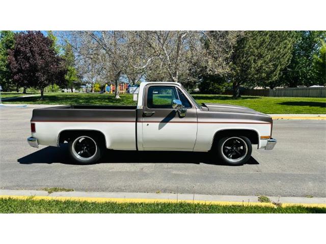 1985 Chevrolet C10 (CC-2072662) for sale in Cadillac, Michigan