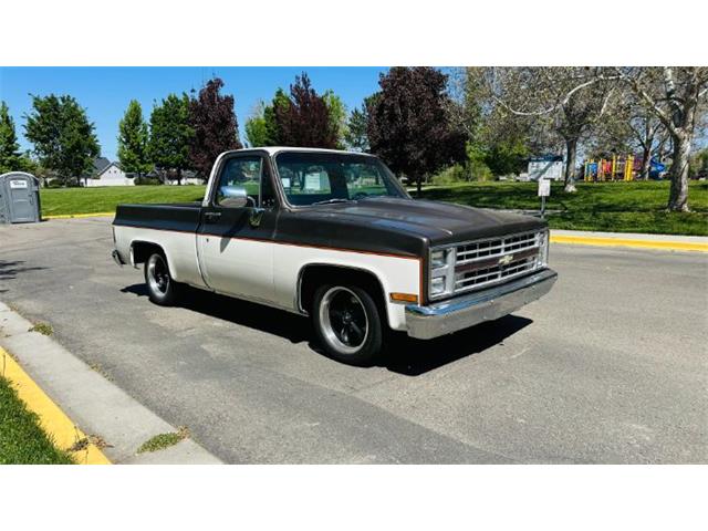 1985 Chevrolet C10 (CC-2072662) for sale in Cadillac, Michigan