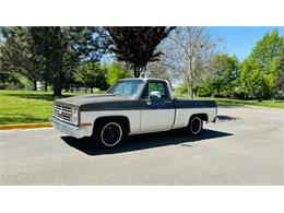 1985 Chevrolet C10 (CC-2072662) for sale in Cadillac, Michigan