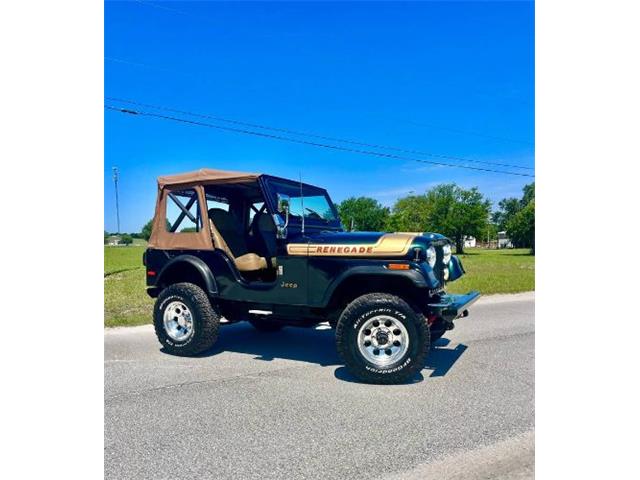 1976 Jeep Renegade (CC-2072668) for sale in Cadillac, Michigan