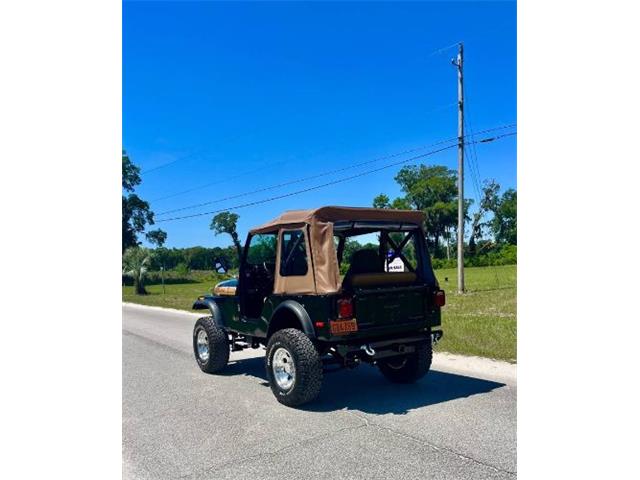1976 Jeep Renegade (CC-2072668) for sale in Cadillac, Michigan