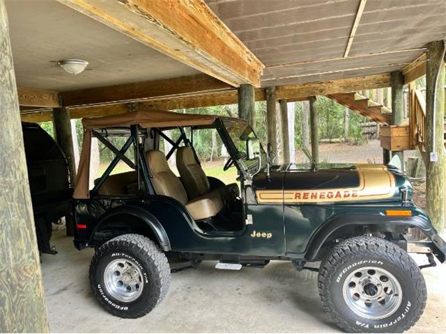 1976 Jeep Renegade (CC-2072668) for sale in Cadillac, Michigan