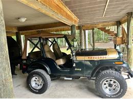 1976 Jeep Renegade (CC-2072668) for sale in Cadillac, Michigan