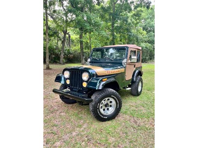1976 Jeep Renegade (CC-2072668) for sale in Cadillac, Michigan