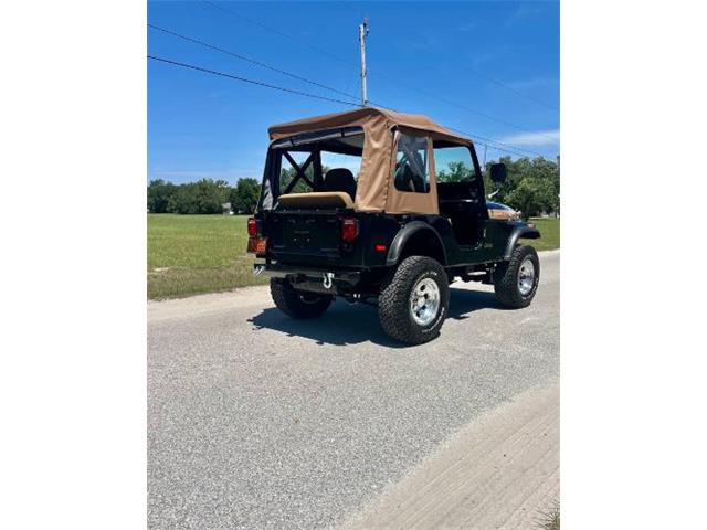 1976 Jeep Renegade (CC-2072668) for sale in Cadillac, Michigan