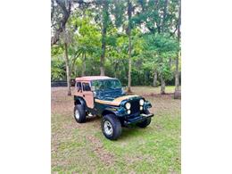 1976 Jeep Renegade (CC-2072668) for sale in Cadillac, Michigan