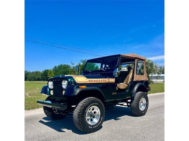 1976 Jeep Renegade (CC-2072668) for sale in Cadillac, Michigan