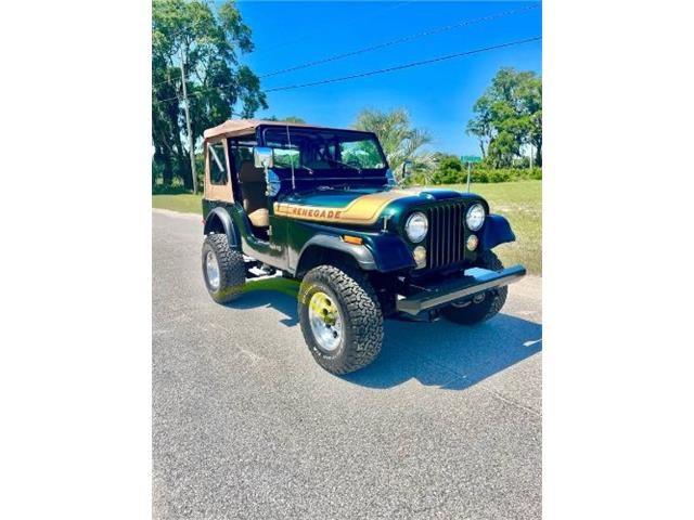 1976 Jeep Renegade (CC-2072668) for sale in Cadillac, Michigan