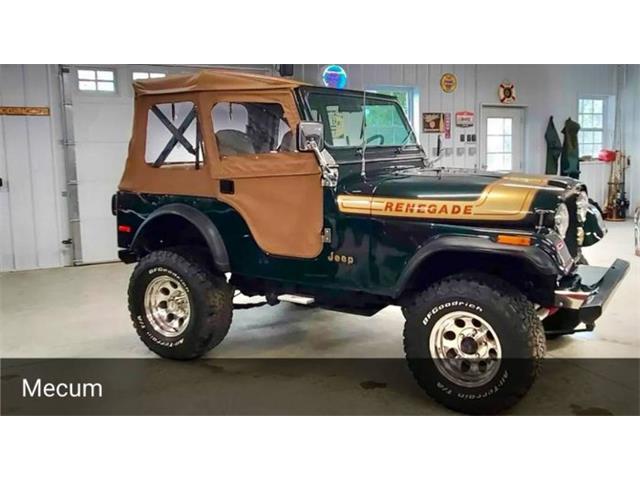 1976 Jeep Renegade (CC-2072668) for sale in Cadillac, Michigan