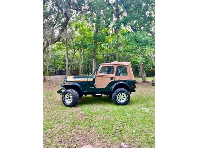 1976 Jeep Renegade (CC-2072668) for sale in Cadillac, Michigan