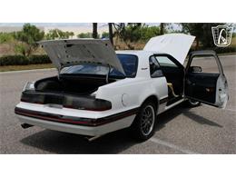 1988 Ford Thunderbird (CC-2070268) for sale in Ruskin, Florida