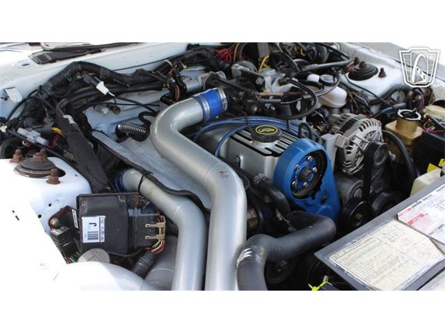 1988 Ford Thunderbird (CC-2070268) for sale in Ruskin, Florida