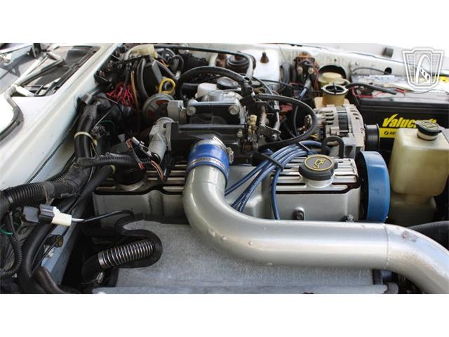 1988 Ford Thunderbird (CC-2070268) for sale in Ruskin, Florida